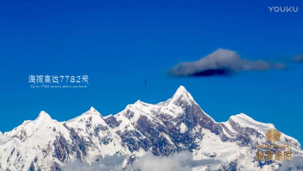 干细胞促进创面愈合有了最高等级临床证据
